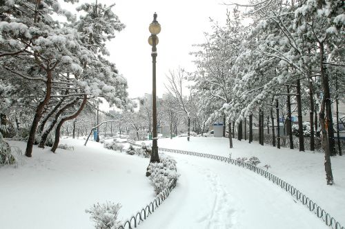 hanam city hanam city hall winter landscapes