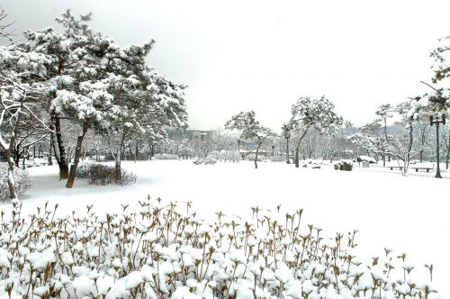 hanam city hanam city hall winter landscapes