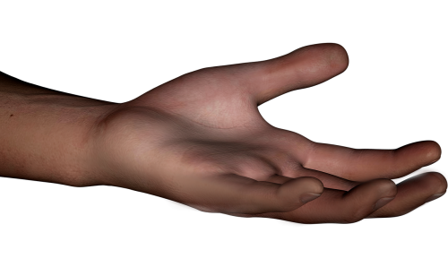 hand human part of the body