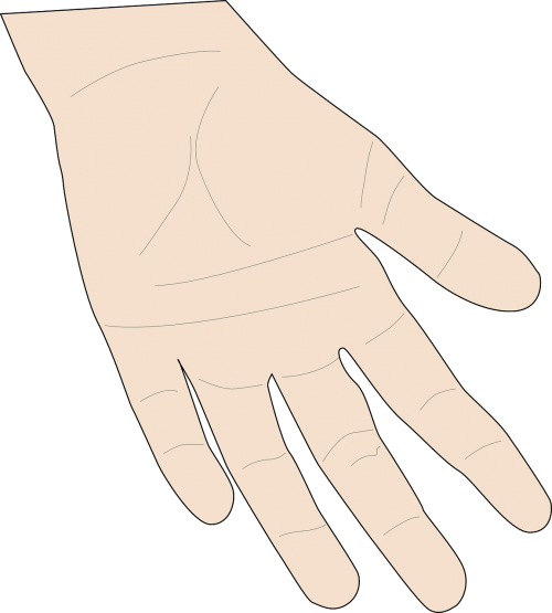 hand person skin