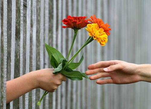 hand bouquet fence