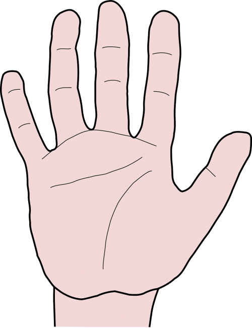hand fingers thumb