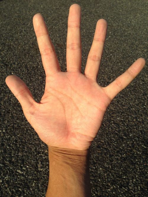 palm hand finger