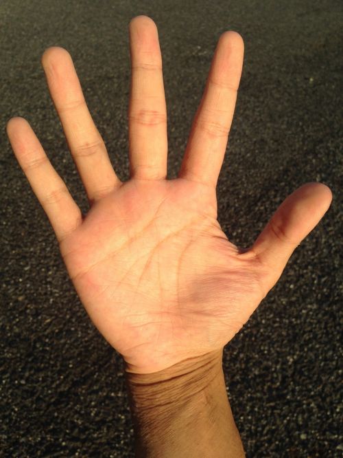 palm hand finger