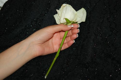 hand wedding roses