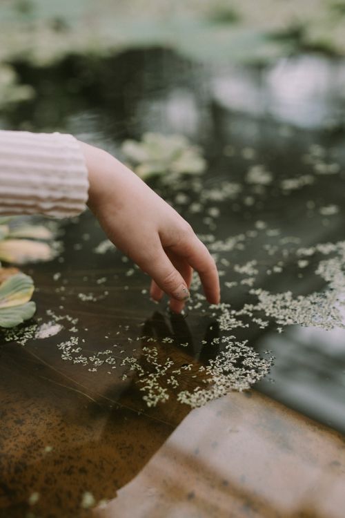 hand flower water