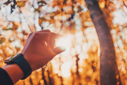 hand watch sunlight