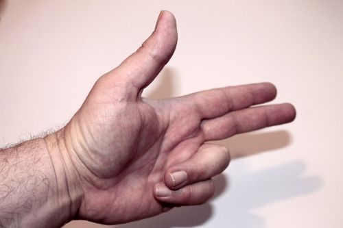 hand gesture hand signals