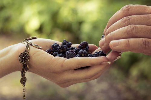 hand nature outdoors