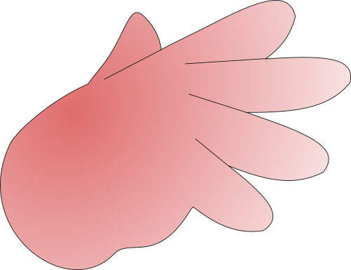 hand fingers body
