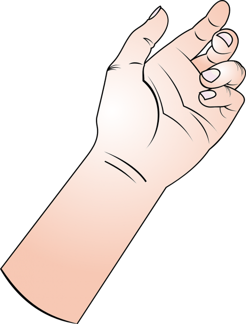 hand fingers forearm