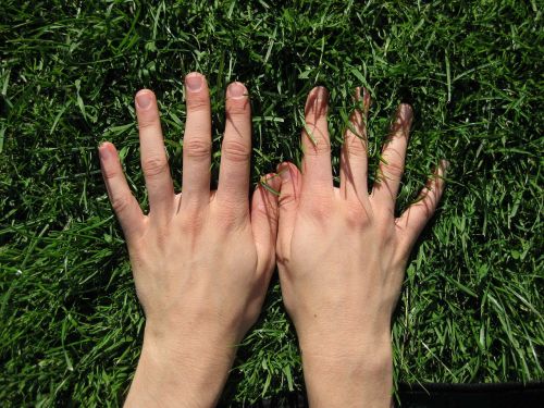 hand hands grass