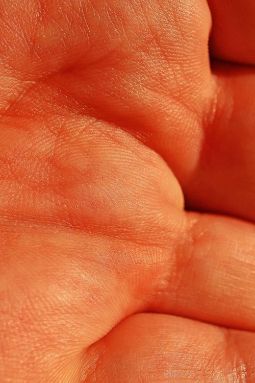 hand skin human