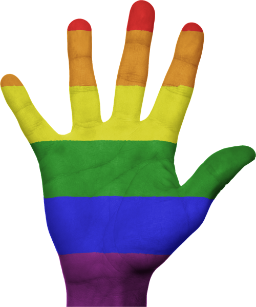 hand flag rainbow