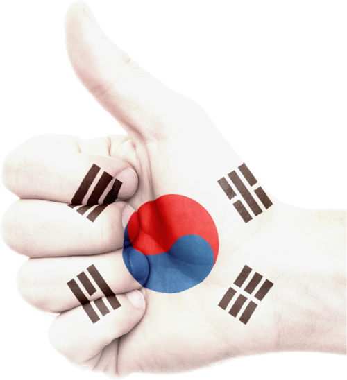 hand south korea flag