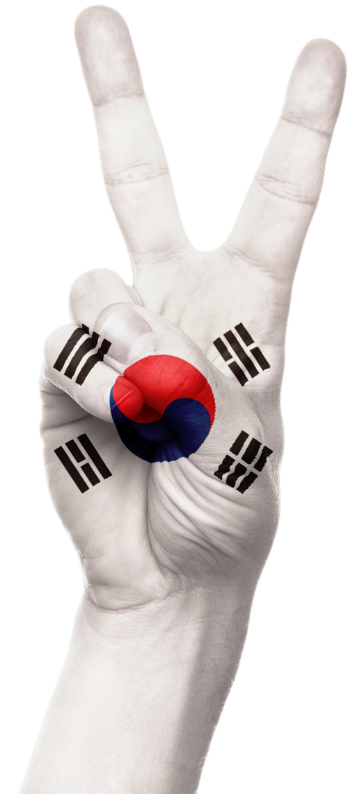hand south korea flag