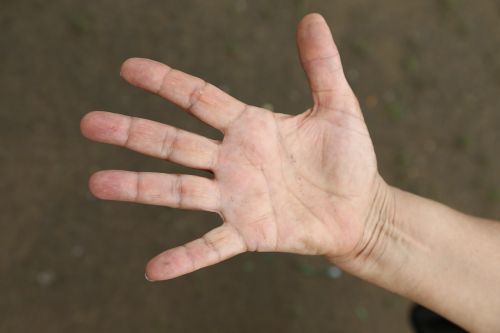 hand person female
