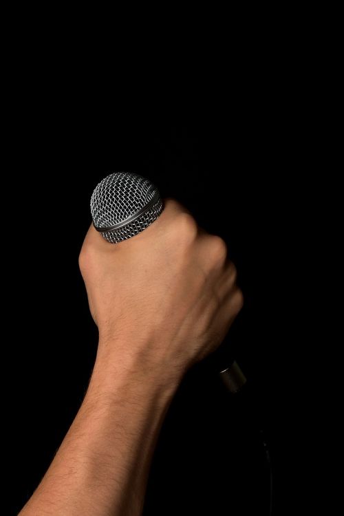 hand microphone mic