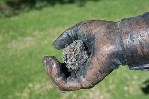 Hand Of Statue Holding Grain Kernel
