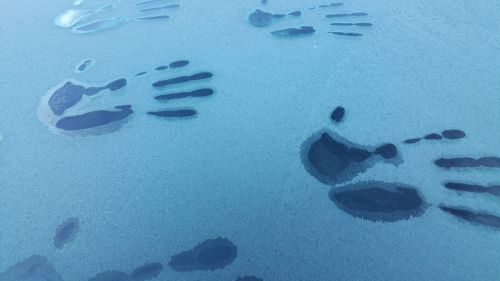 hand print frost winter