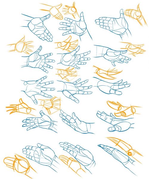 hands reference drawing