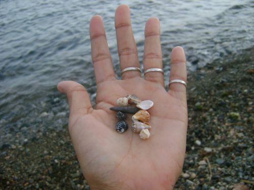 hands snails sea
