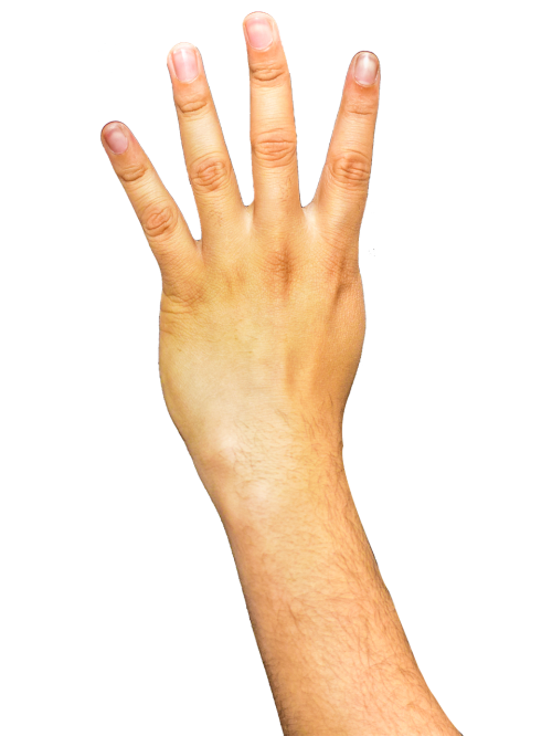 hands fingers arm
