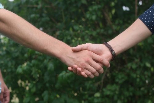 hands handshake person
