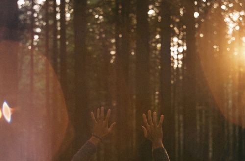 hands sun rays sunshine