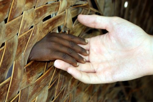 hands fence white