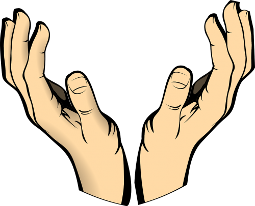 hands human body