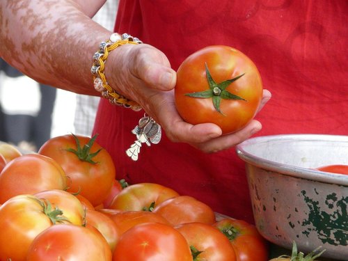 hands  tomato  red