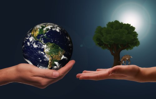 hands  earth  next generation