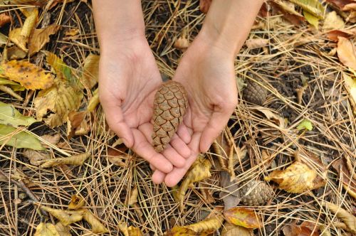 hands bump autumn