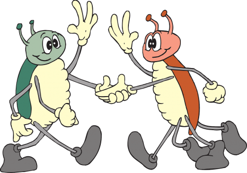 handshake bugs wave