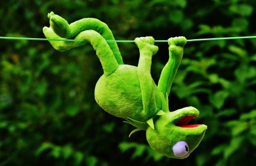 hang out soft toy kermit