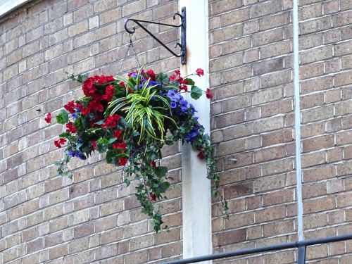 Hanging Basket Of Flowers