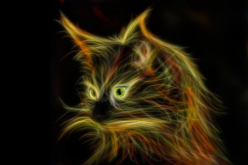 cat light painting mainecoon