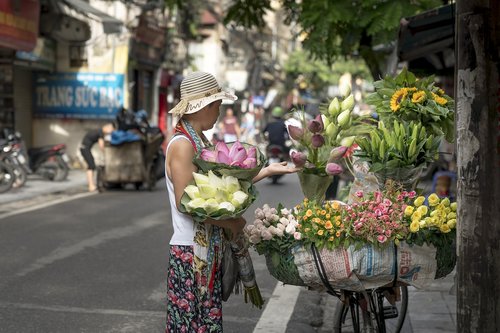 hanoi  the street  vietnam