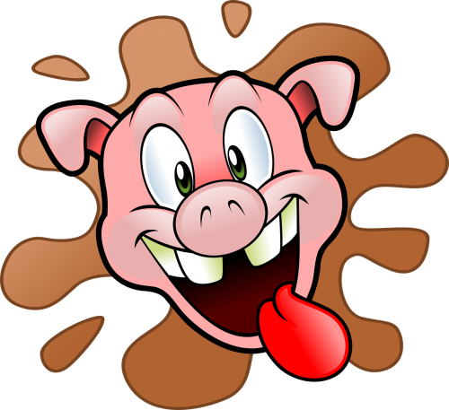 happy head pig