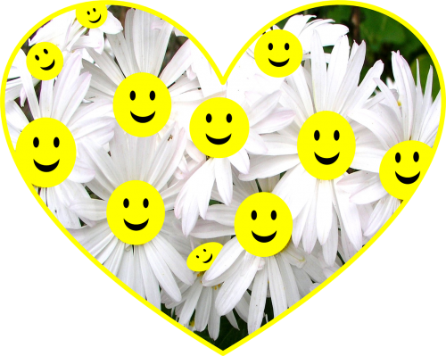 happy face daisy