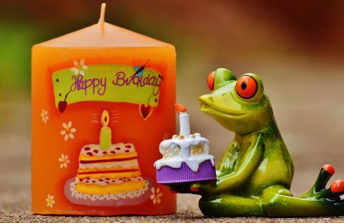 happy birthday birthday frog