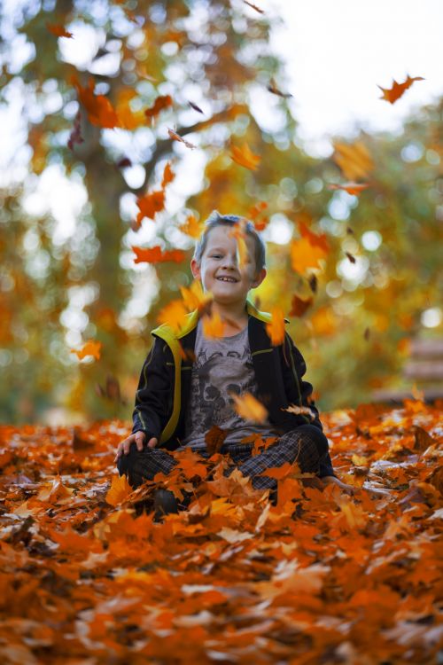 Happy Boy And Autumn Leaves