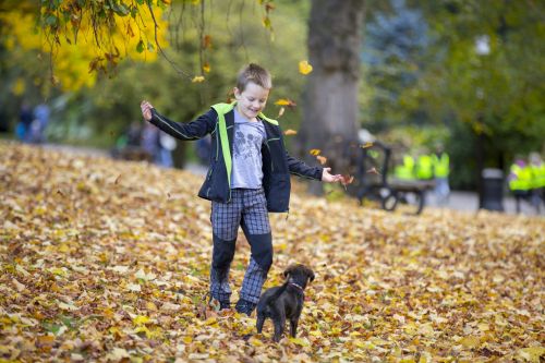 Happy Boy An Autumn Leaves