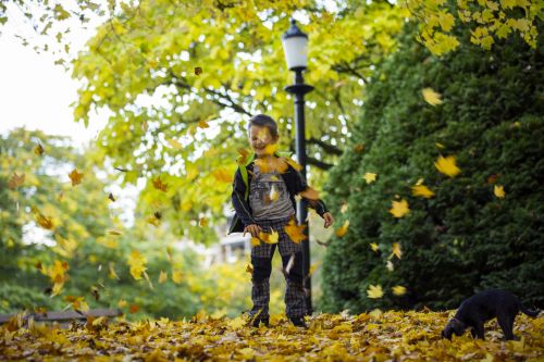 Happy Boy An Autumn Leaves