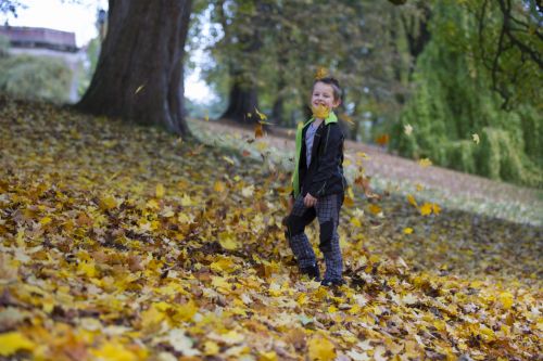 Happy Boy An Autumn Leaves
