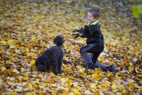 Happy Boy An Autumn Leaves