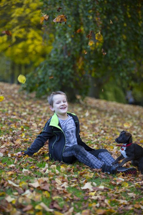 Happy Boy An Autumn Leaves