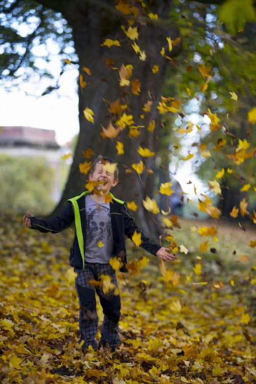 Happy Boy An Autumn Leaves