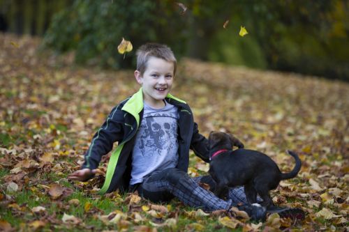 Happy Boy An Autumn Leaves